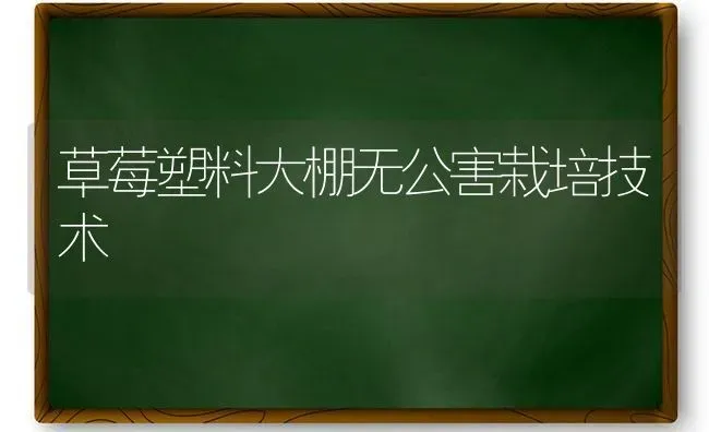 草莓塑料大棚无公害栽培技术 | 瓜果种植