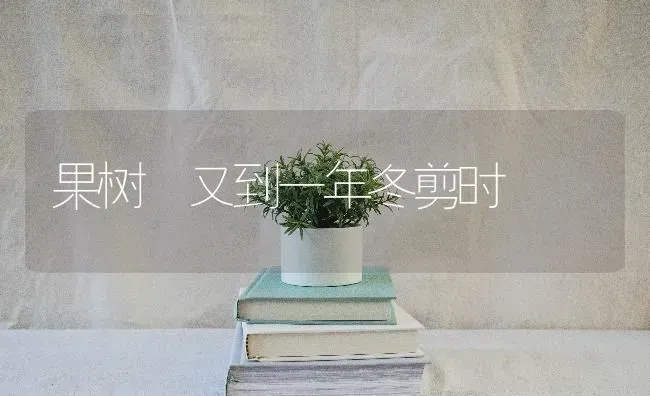 果树 又到一年冬剪时 | 瓜果种植