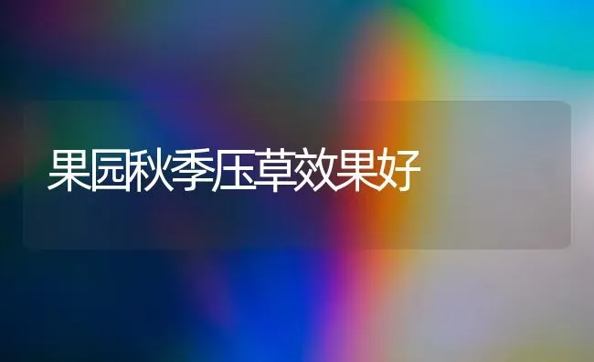 果园秋季压草效果好 | 瓜果种植