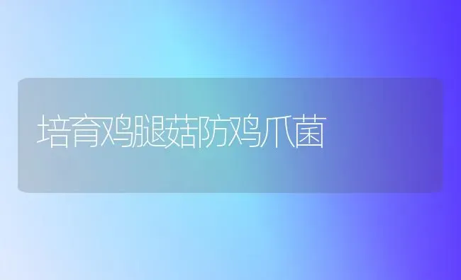 培育鸡腿菇防鸡爪菌 | 食用菌种植