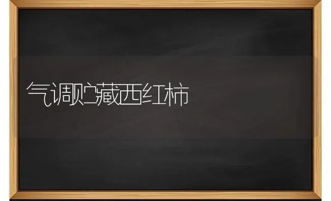 气调贮藏西红柿 | 蔬菜种植