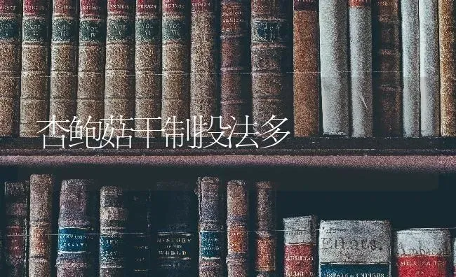 杏鲍菇干制投法多 | 食用菌种植