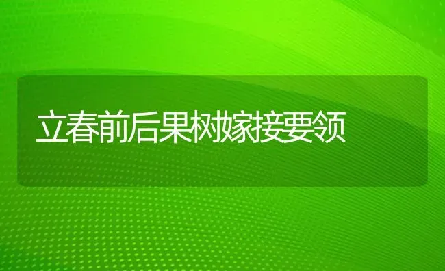 立春前后果树嫁接要领 | 瓜果种植