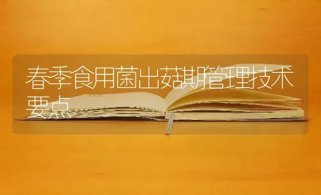 春季食用菌出菇期管理技术要点 | 食用菌种植