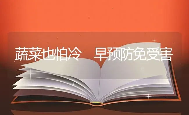 蔬菜也怕冷 早预防免受害 | 蔬菜种植