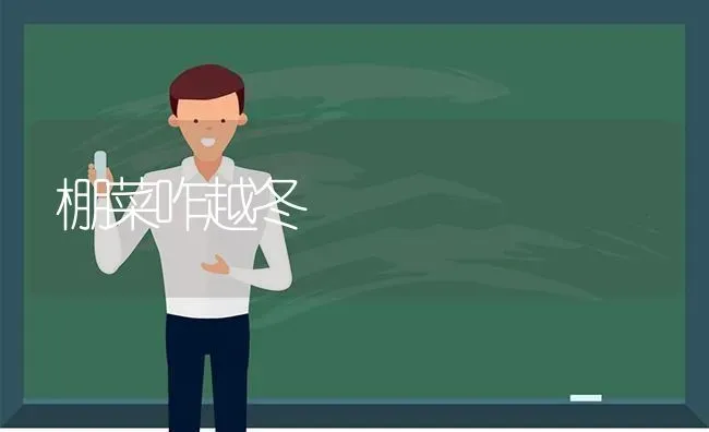 棚菜咋越冬 | 蔬菜种植