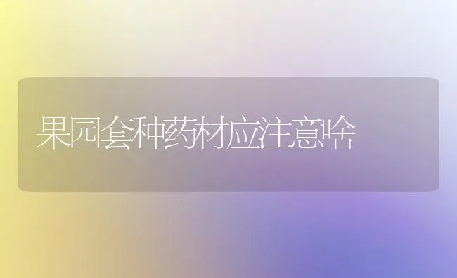 果园套种药材应注意啥 | 瓜果种植