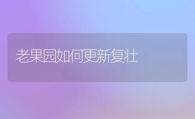 老果园如何更新复壮 | 瓜果种植