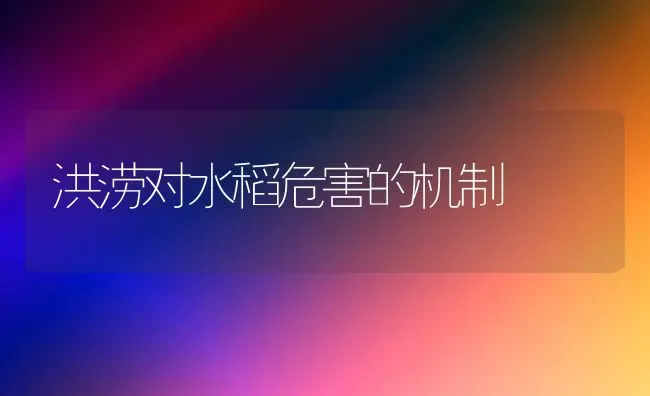洪涝对水稻危害的机制 | 粮油作物种植