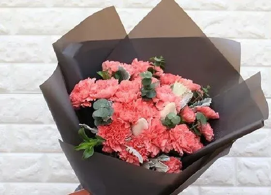 送花|过寿送什么花合适