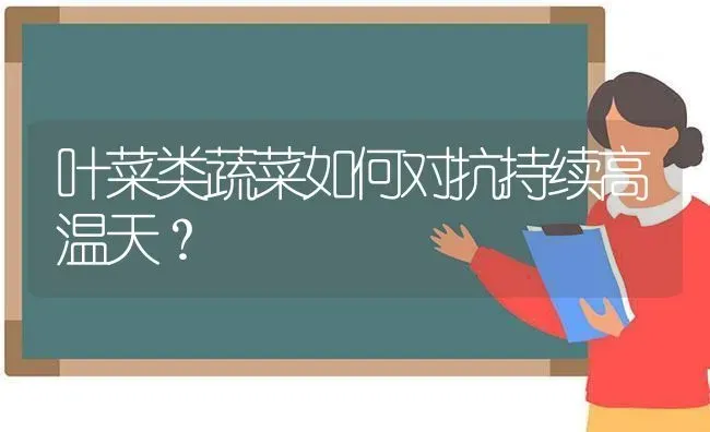 叶菜类蔬菜如何对抗持续高温天？ | 蔬菜种植