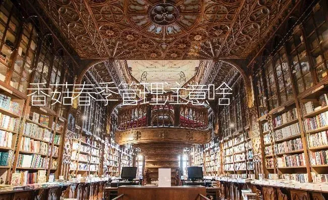 香菇春季管理注意啥 | 食用菌种植