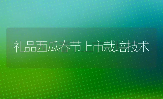 礼品西瓜春节上市栽培技术 | 瓜果种植