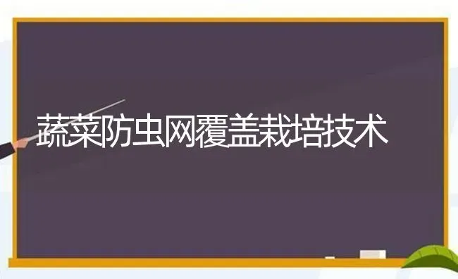 蔬菜防虫网覆盖栽培技术 | 蔬菜种植