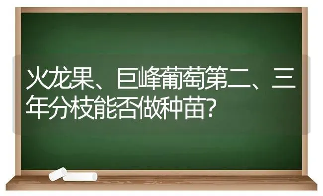 火龙果、巨峰葡萄第二、三年分枝能否做种苗？ | 瓜果种植