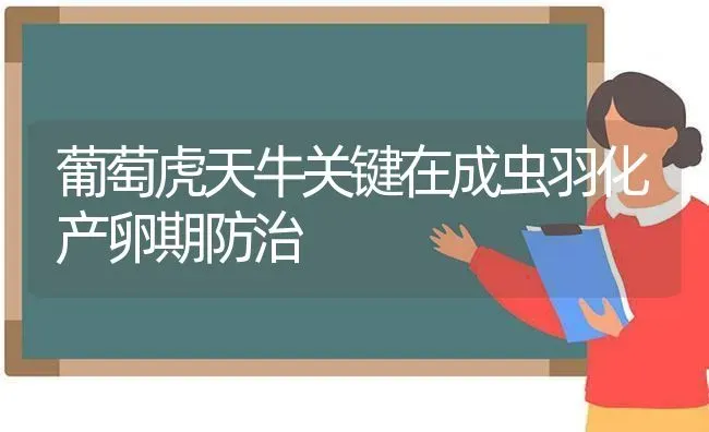 葡萄虎天牛关键在成虫羽化产卵期防治 | 瓜果种植