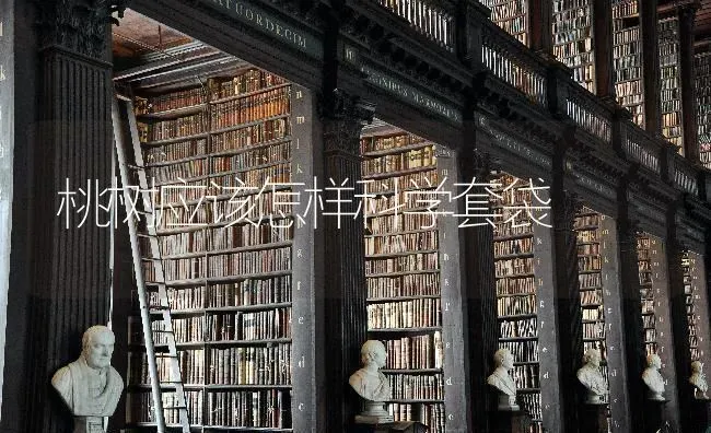桃树应该怎样科学套袋 | 瓜果种植