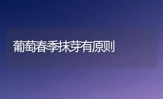 葡萄春季抹芽有原则 | 瓜果种植