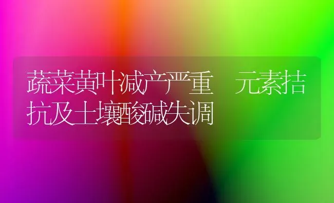 蔬菜黄叶减产严重 元素拮抗及土壤酸碱失调 | 蔬菜种植