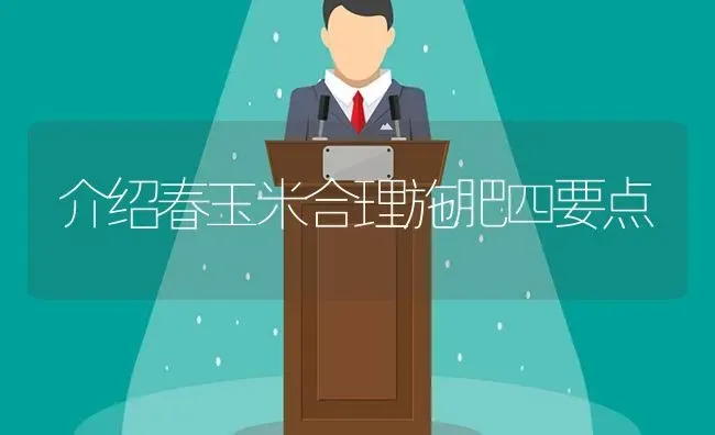 介绍春玉米合理施肥四要点 | 种植肥料施肥