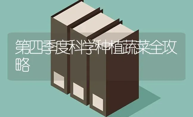 第四季度科学种植蔬菜全攻略 | 蔬菜种植