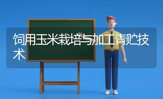 饲用玉米栽培与加工青贮技术 | 粮油作物种植