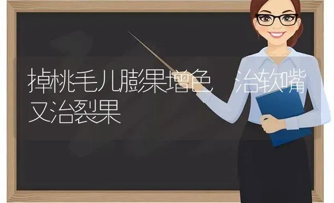 掉桃毛儿膨果增色　治软嘴又治裂果 | 瓜果种植