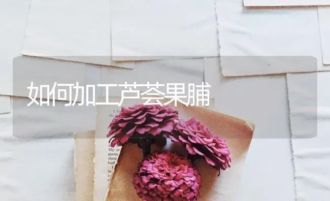 如何加工芦荟果脯 | 瓜果种植