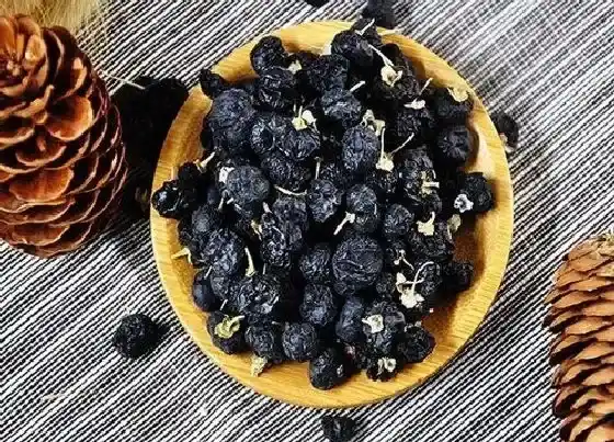 植物产地|黑枸杞是哪里的特产