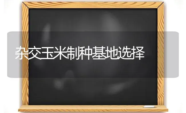 杂交玉米制种基地选择 | 粮油作物种植