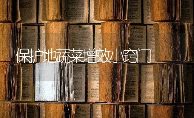 保护地蔬菜增效小窍门 | 蔬菜种植