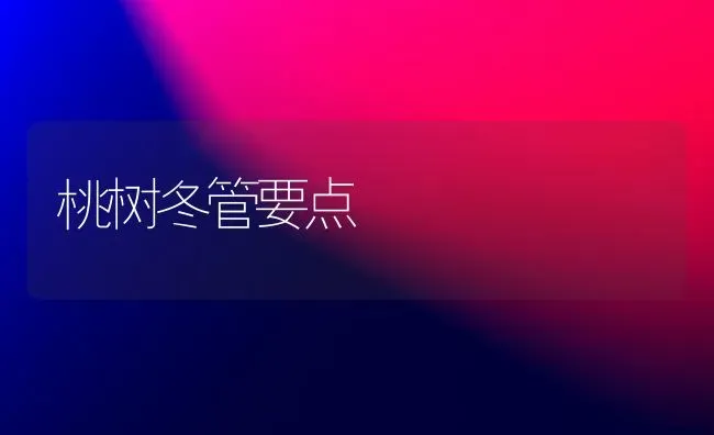 桃树冬管要点 | 瓜果种植