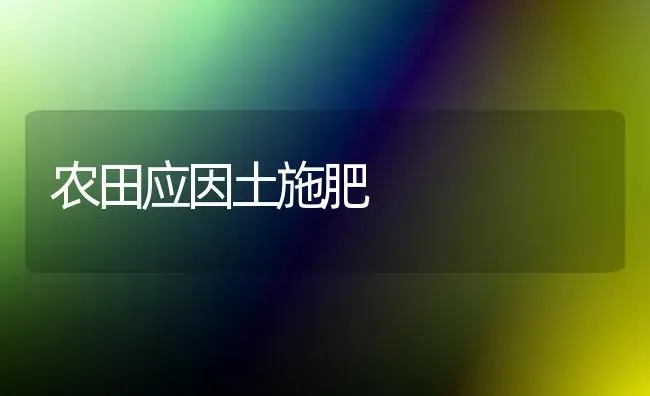农田应因土施肥 | 种植肥料施肥