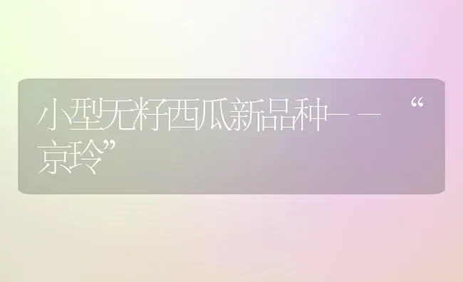 小型无籽西瓜新品种--“京玲” | 瓜果种植