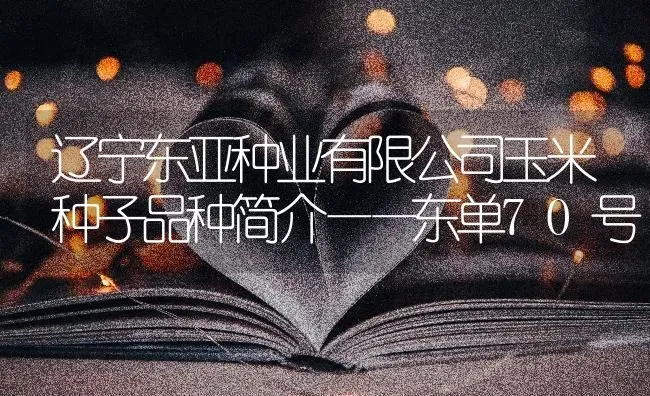 辽宁东亚种业有限公司玉米种子品种简介——东单70号 | 粮油作物种植