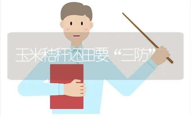 玉米秸秆还田要“三防” | 粮油作物种植
