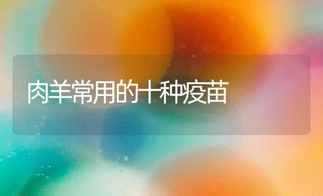 大棚黄瓜施底肥 三个误区莫忽视 | 蔬菜种植