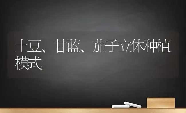 土豆、甘蓝、茄子立体种植模式 | 植物种植百科