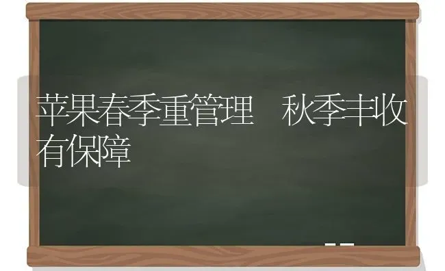 苹果春季重管理 秋季丰收有保障 | 瓜果种植