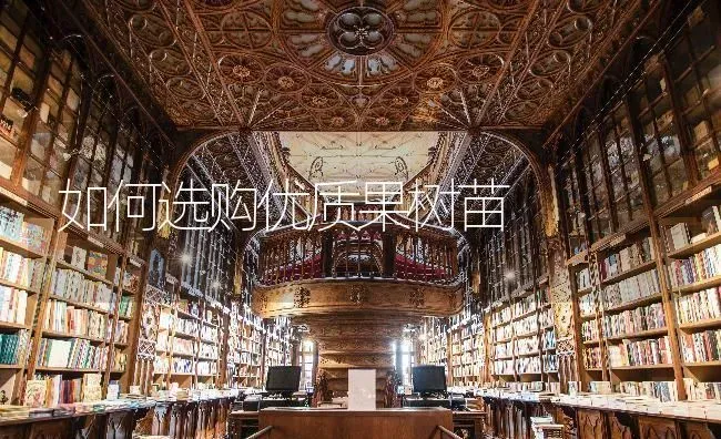 如何选购优质果树苗 | 瓜果种植