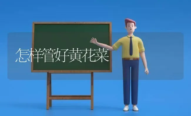 怎样管好黄花菜 | 蔬菜种植