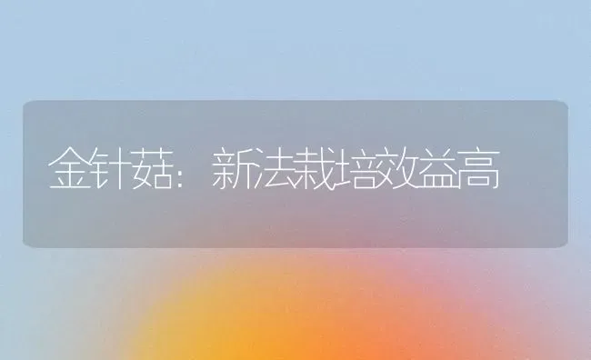 金针菇：新法栽培效益高 | 食用菌种植