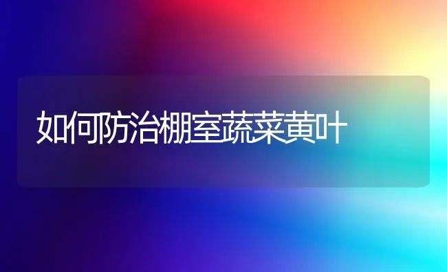 棚室蔬菜整枝打杈要注意什么？ | 蔬菜种植