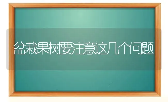 盆栽果树要注意这几个问题 | 瓜果种植