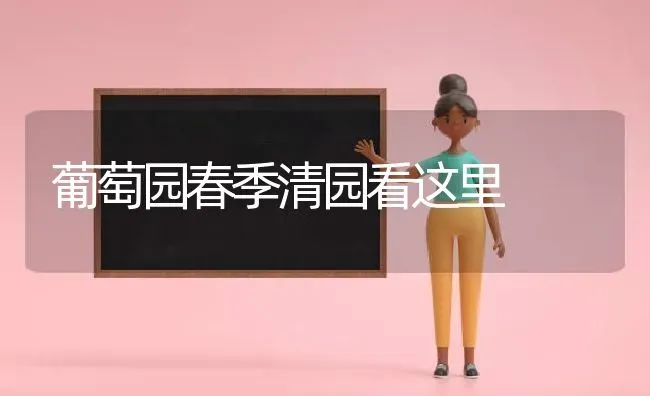 葡萄园春季清园看这里 | 瓜果种植