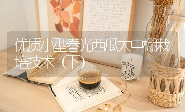 优质小型春光西瓜大中棚栽培技术（下） | 瓜果种植