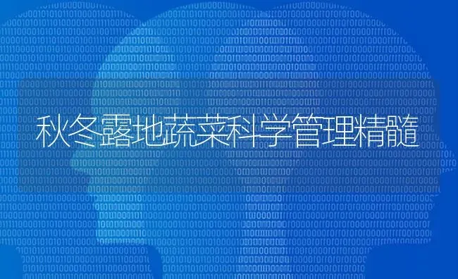 秋冬露地蔬菜科学管理精髓 | 蔬菜种植