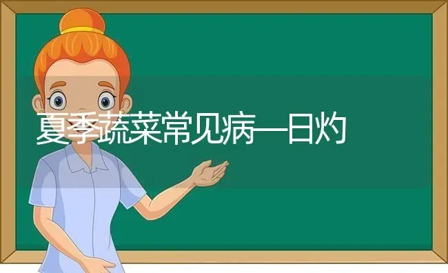 夏季蔬菜常见病—日灼 | 蔬菜种植