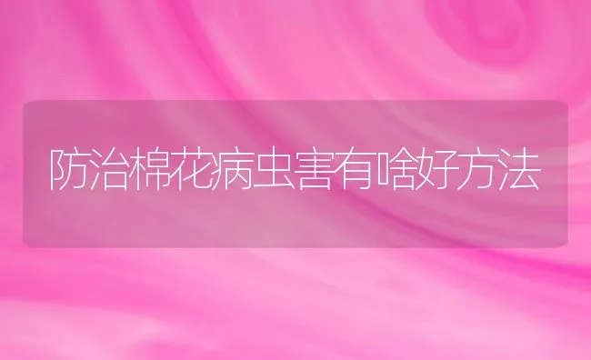 防治棉花病虫害有啥好方法 | 种植病虫害防治
