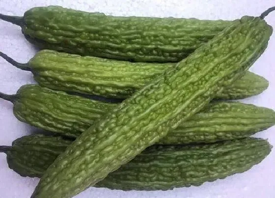 食用技巧|苦瓜怎么洗才干净
